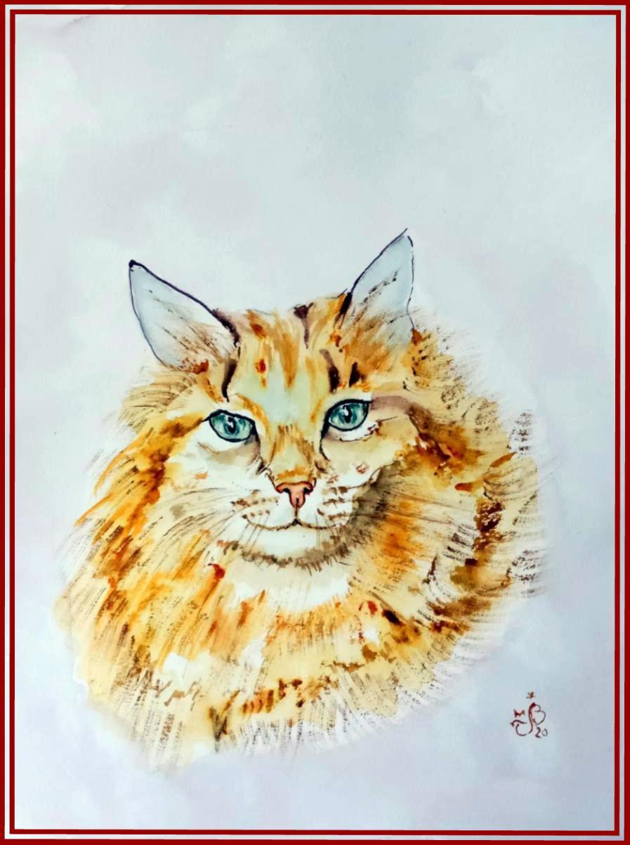 Portrait chat