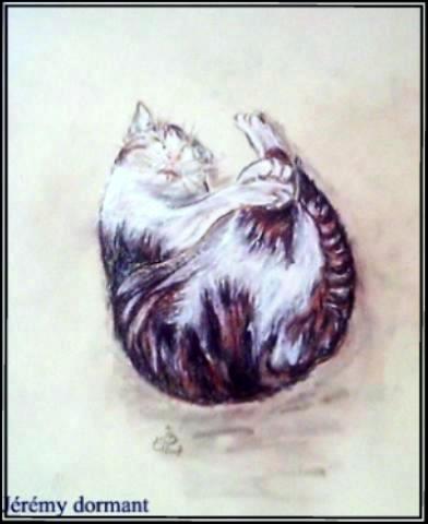 Jeremy dormant 7