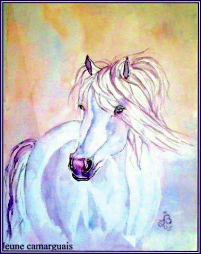 Jeune camarguais 1