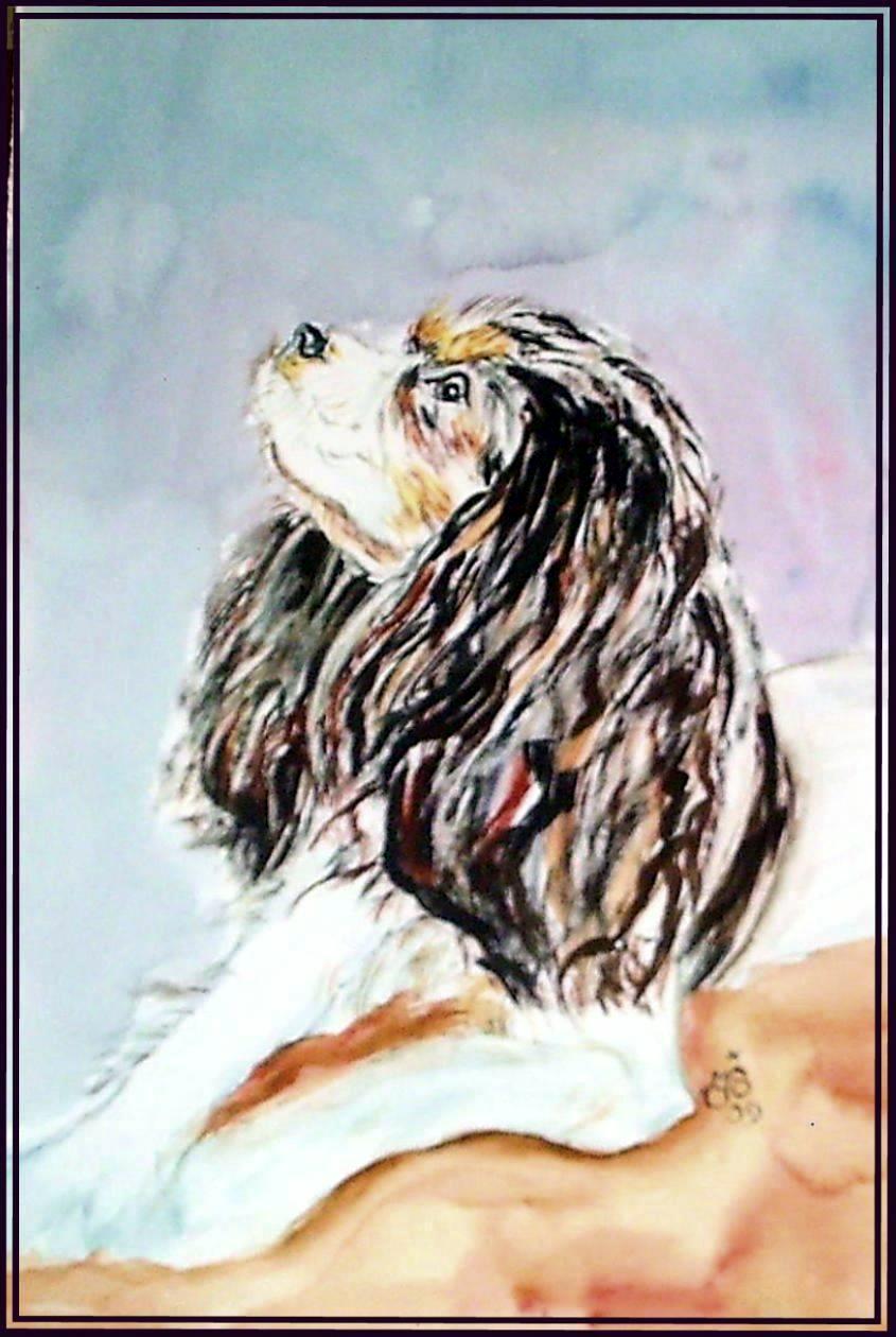 King charles