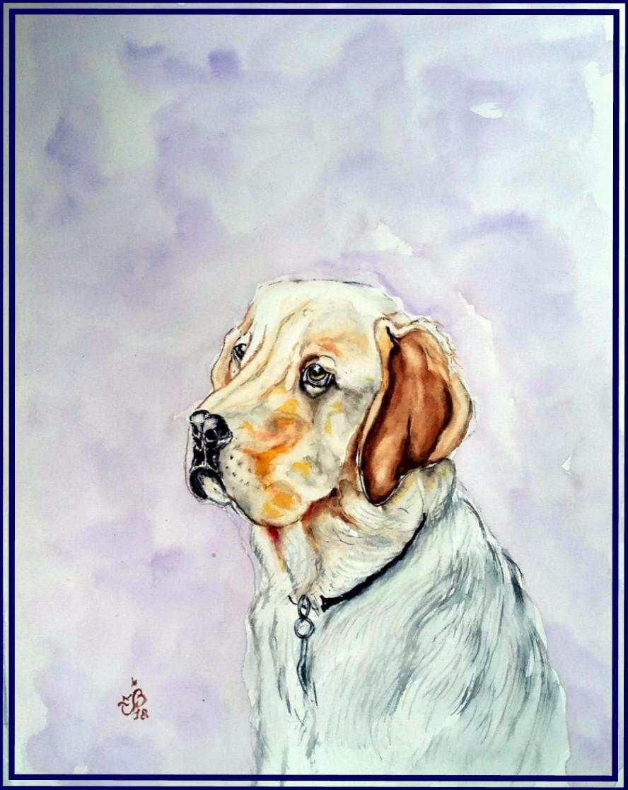 Labrador