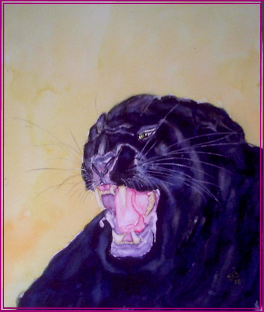 Leopard