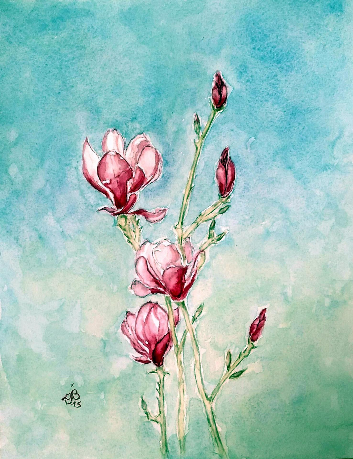 Magnolia