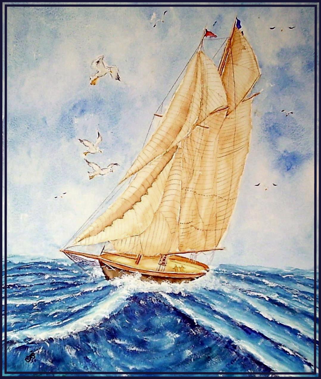 Voilier