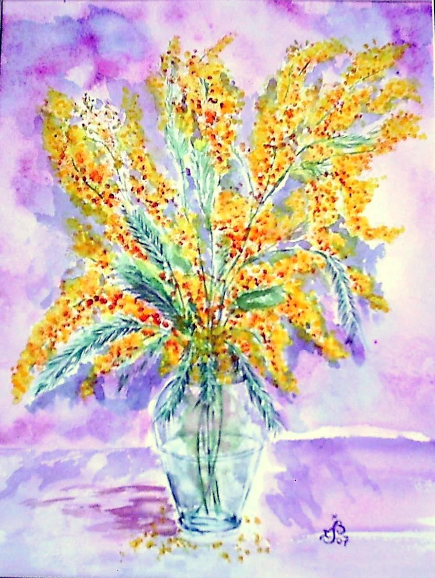 Mimosa2