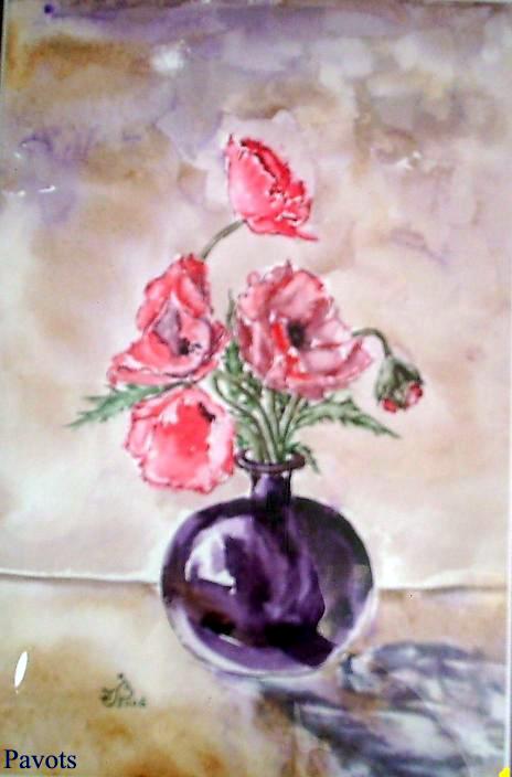 Pavots