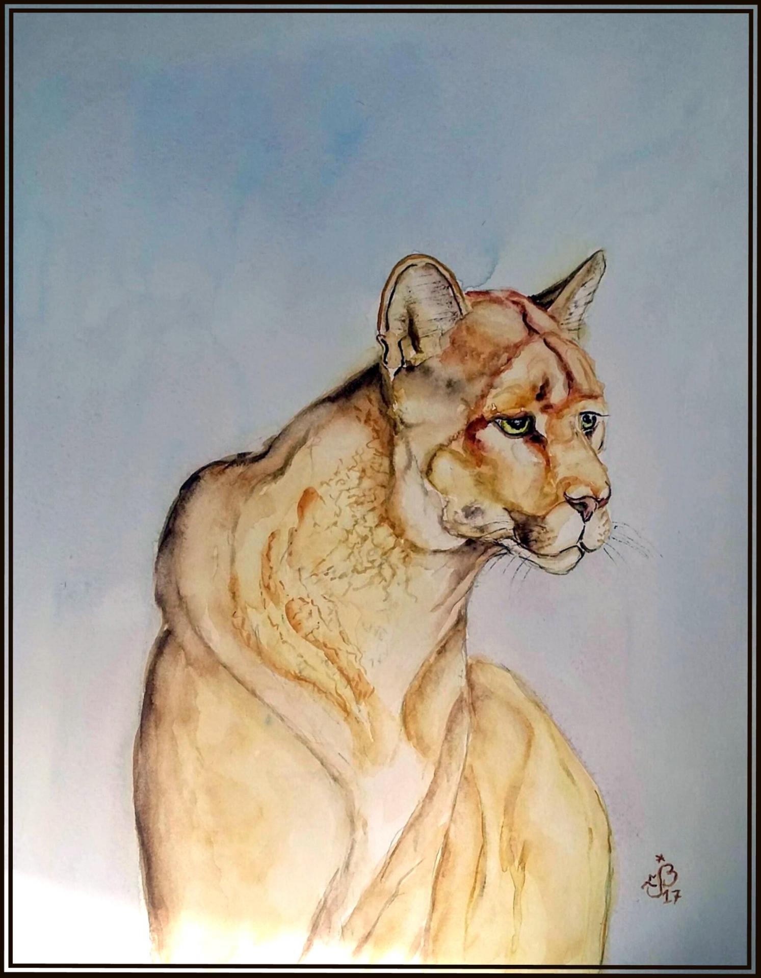 Puma