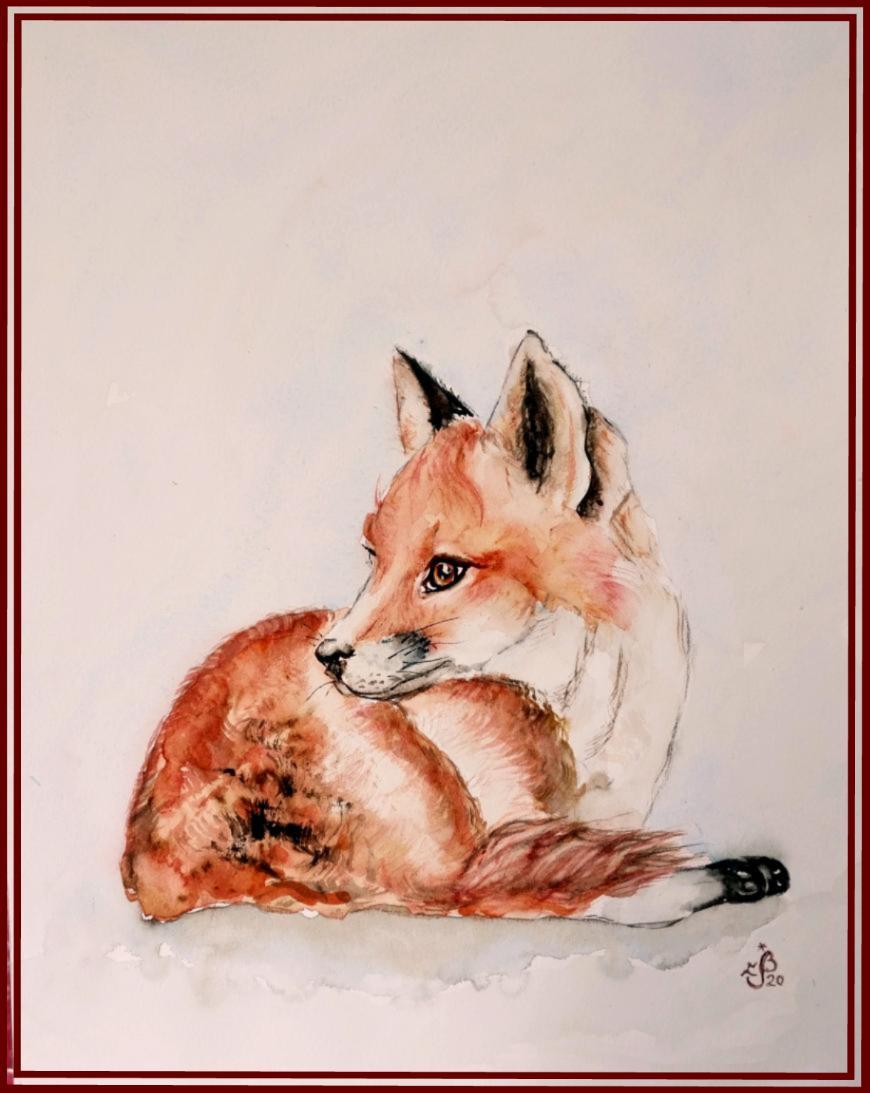 Renardeau 1