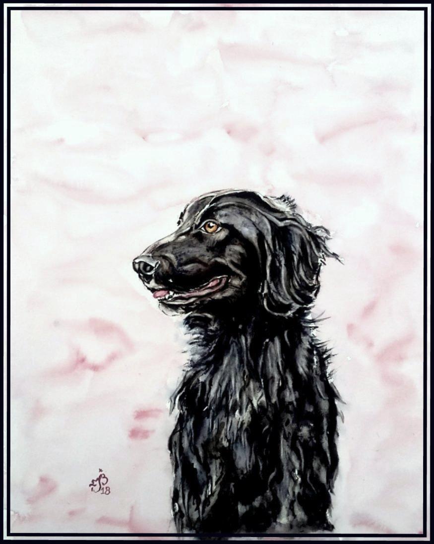 Retriever