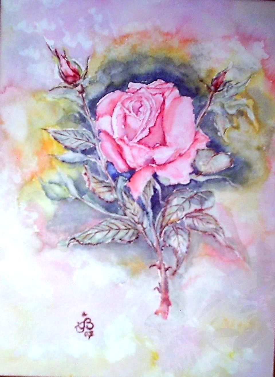 Rose 01