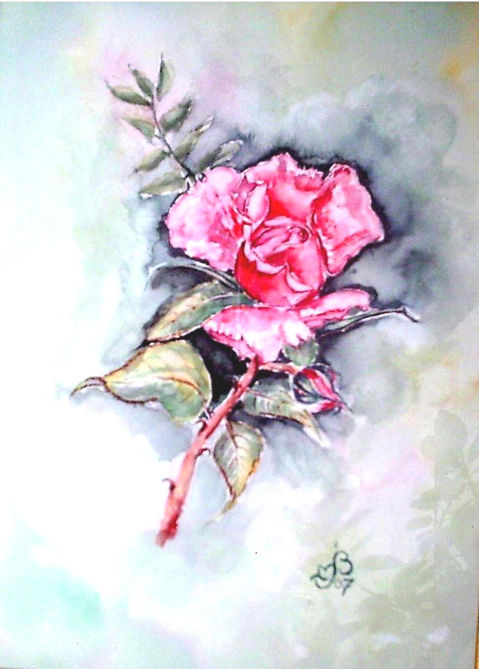 Rose 02