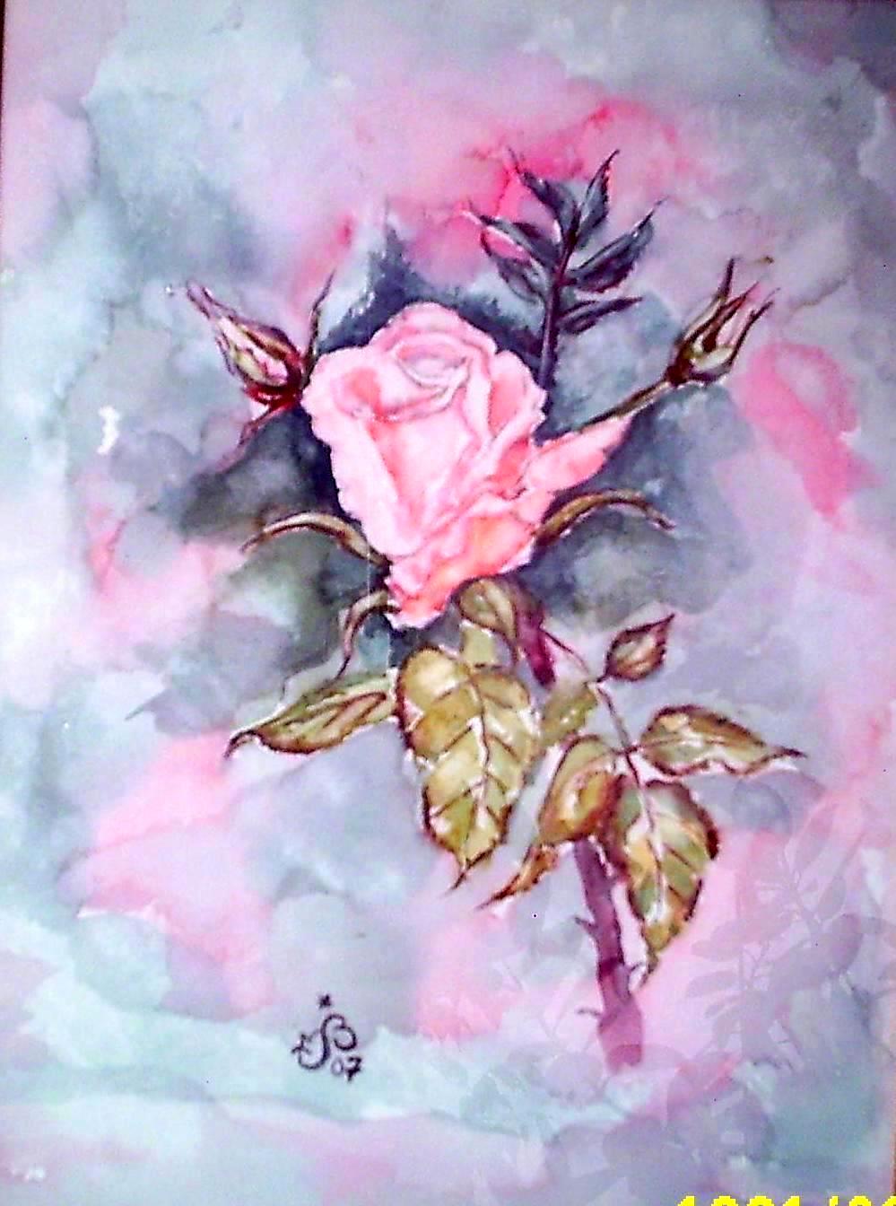 Rose 03