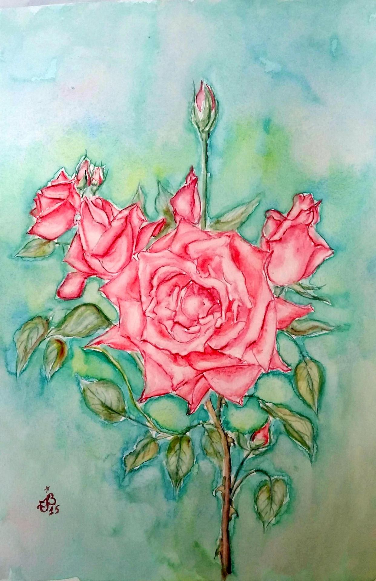 Rose