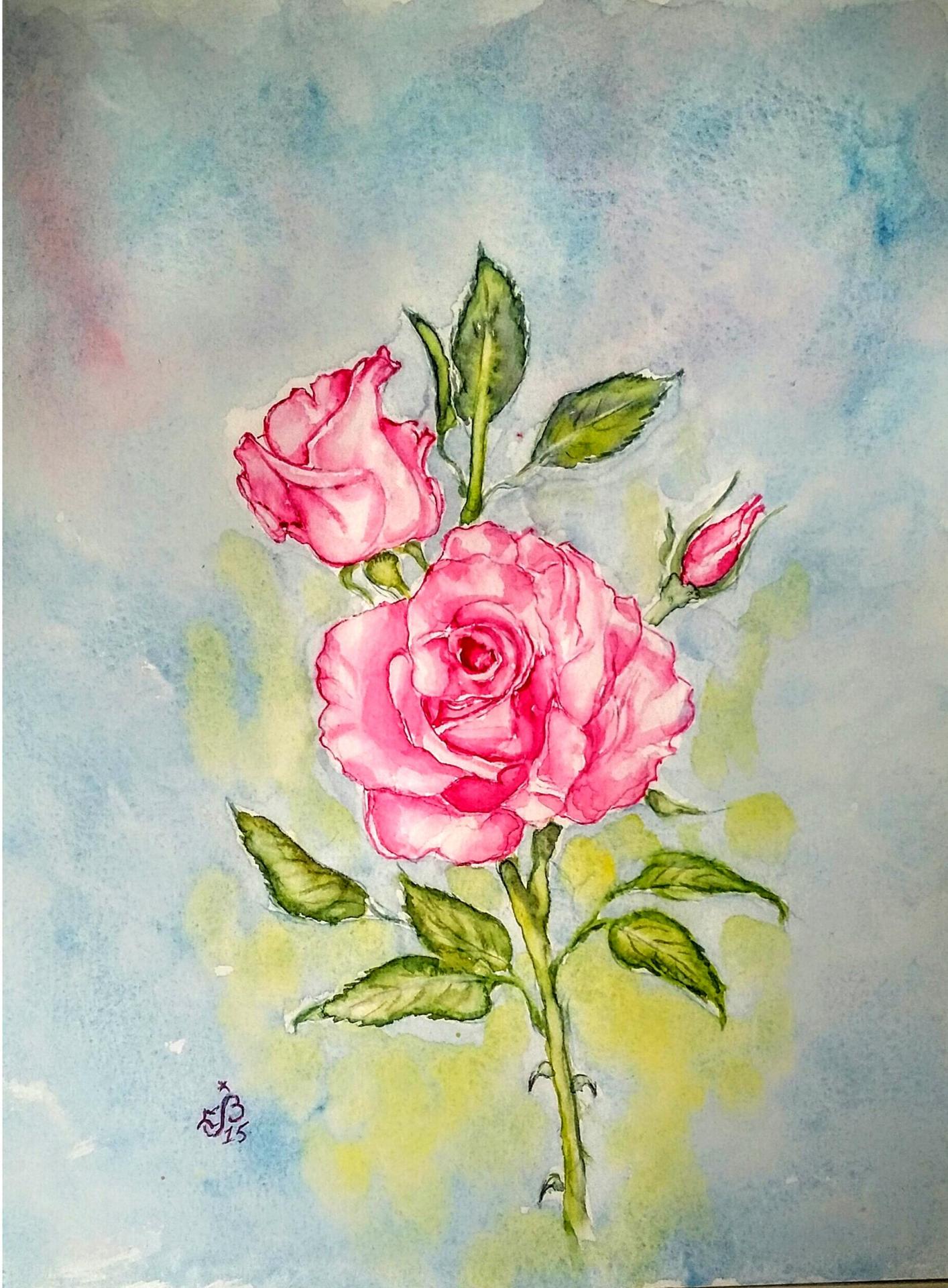 Roses