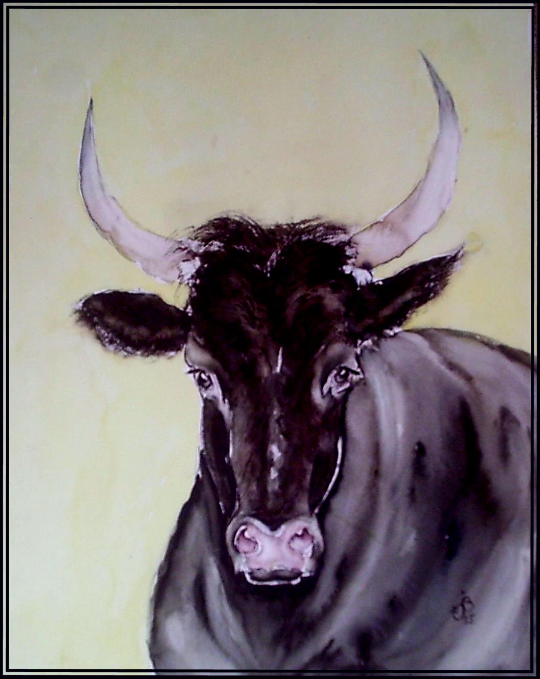 Taureau camarguais 2
