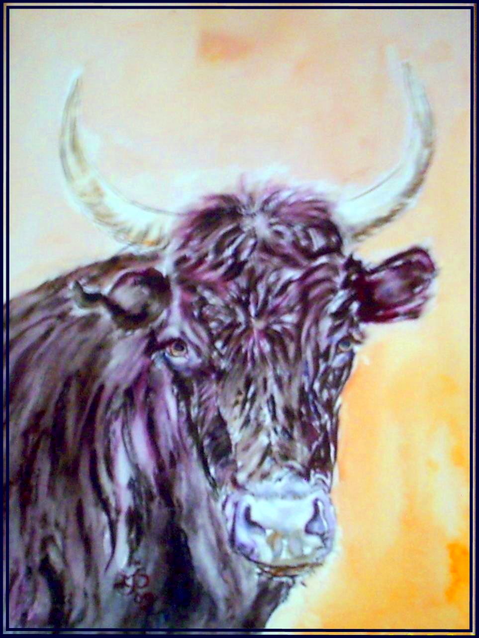 Taureau camarguais 3