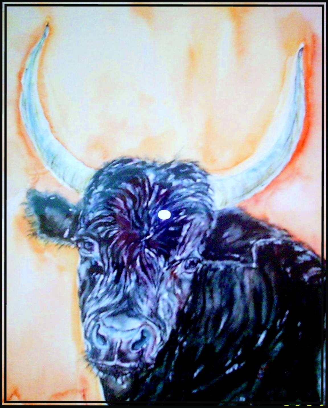 Taurillon