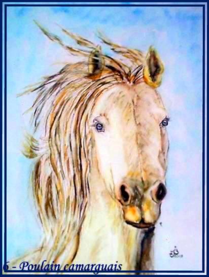 Tete cheval