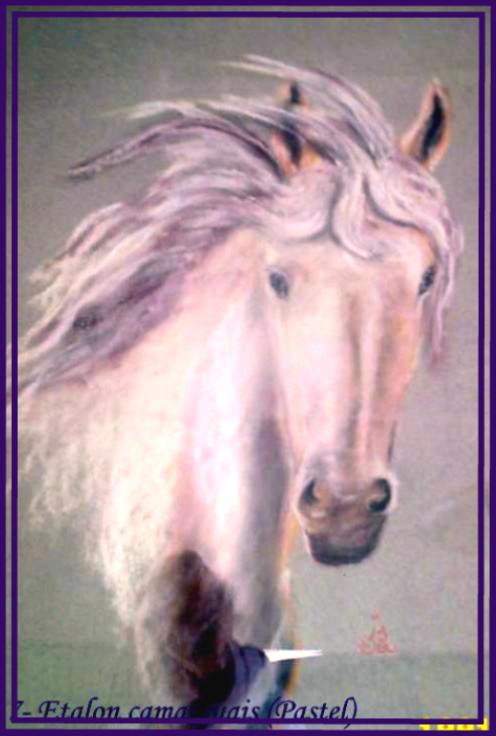 cheval pastel