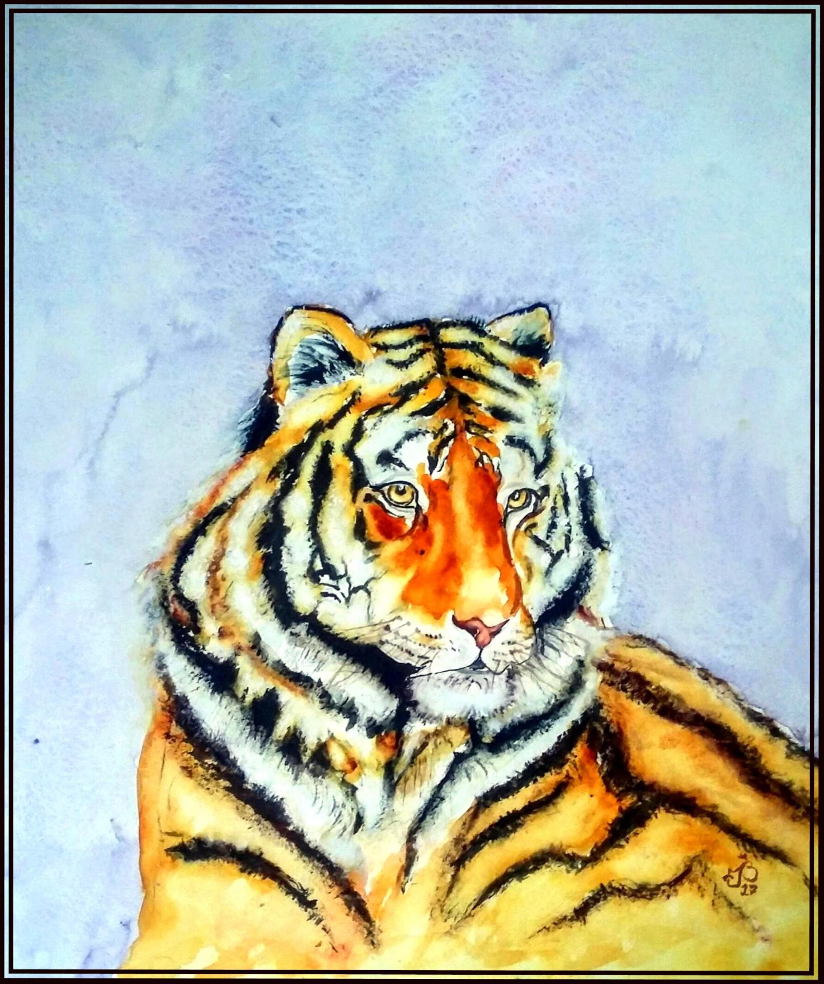 Tigre