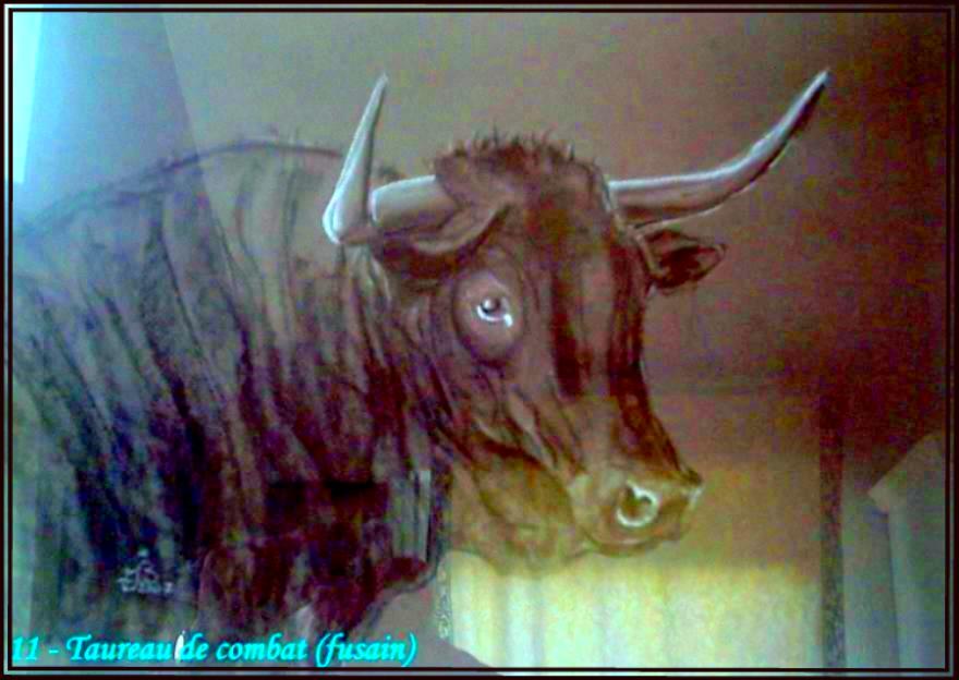 Toro pastel