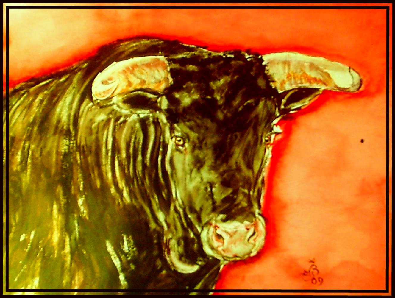 Toro combat