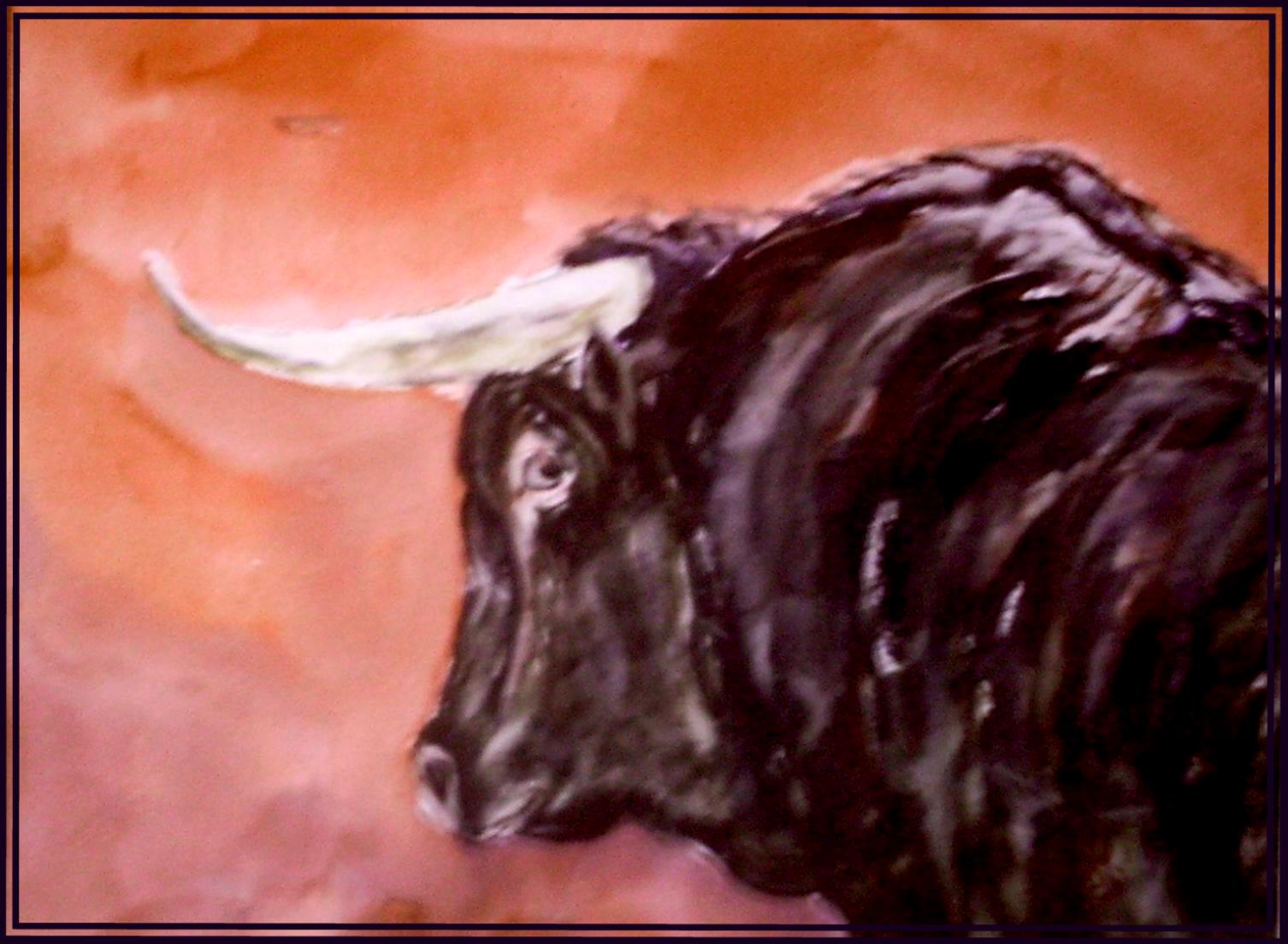 Toro corrida