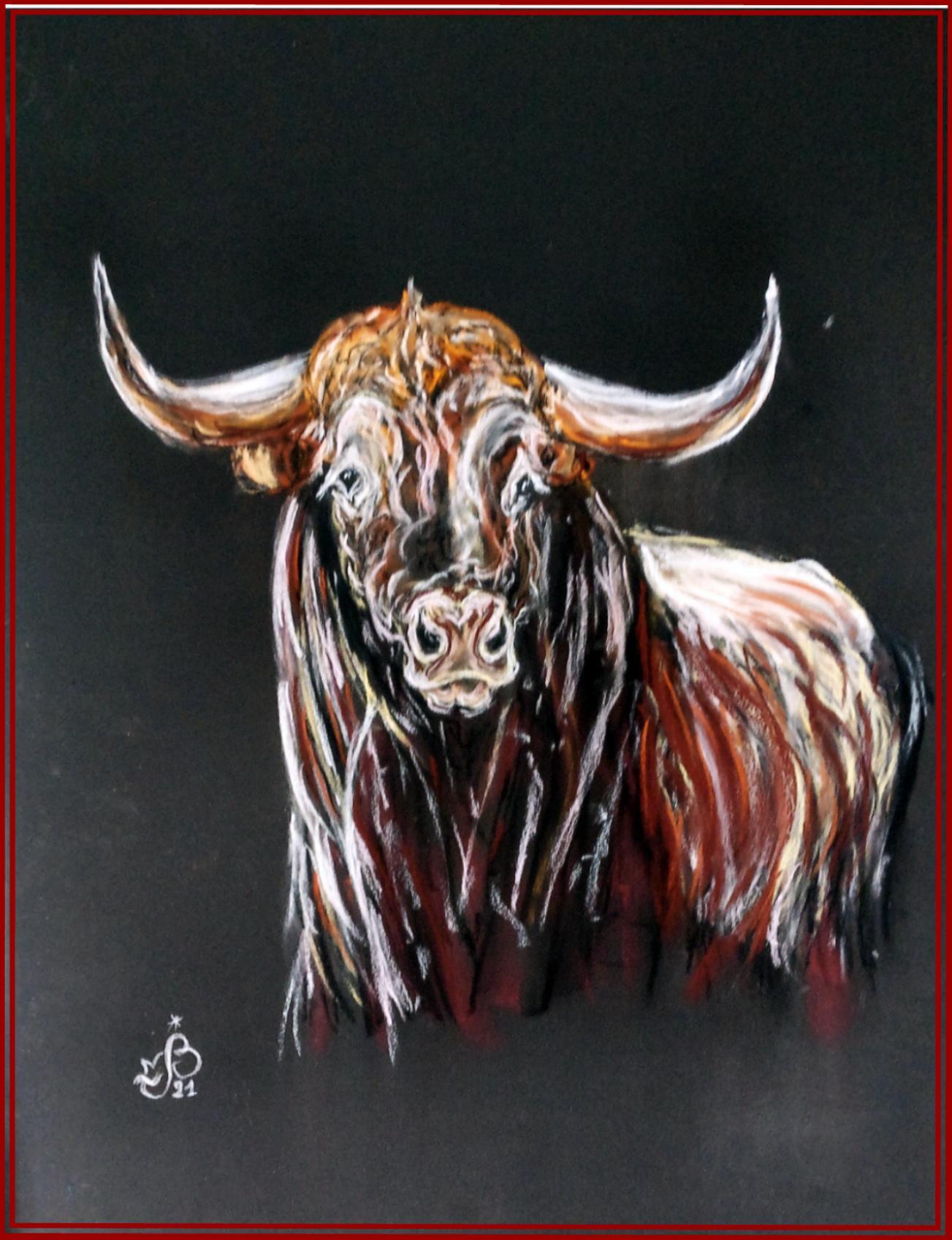 Toro jmb 2021