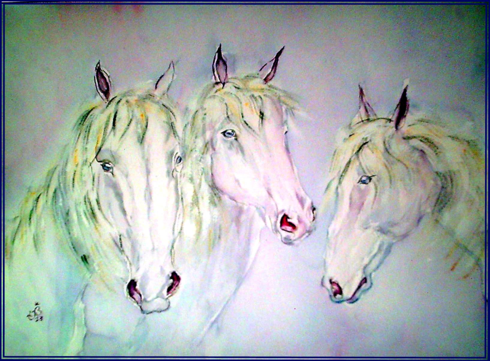 Trio camarguais