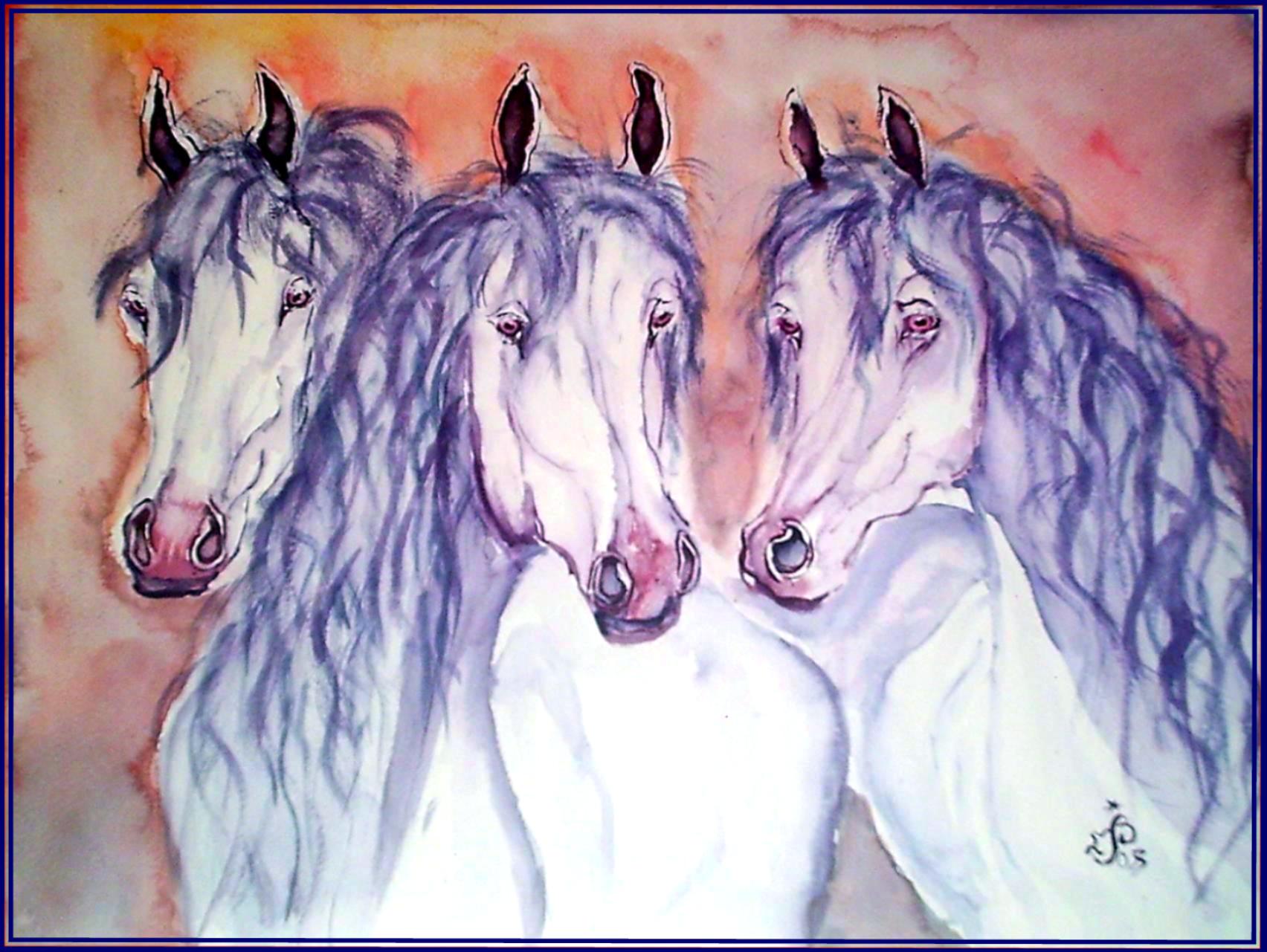 Trois chevaux camarguais 1