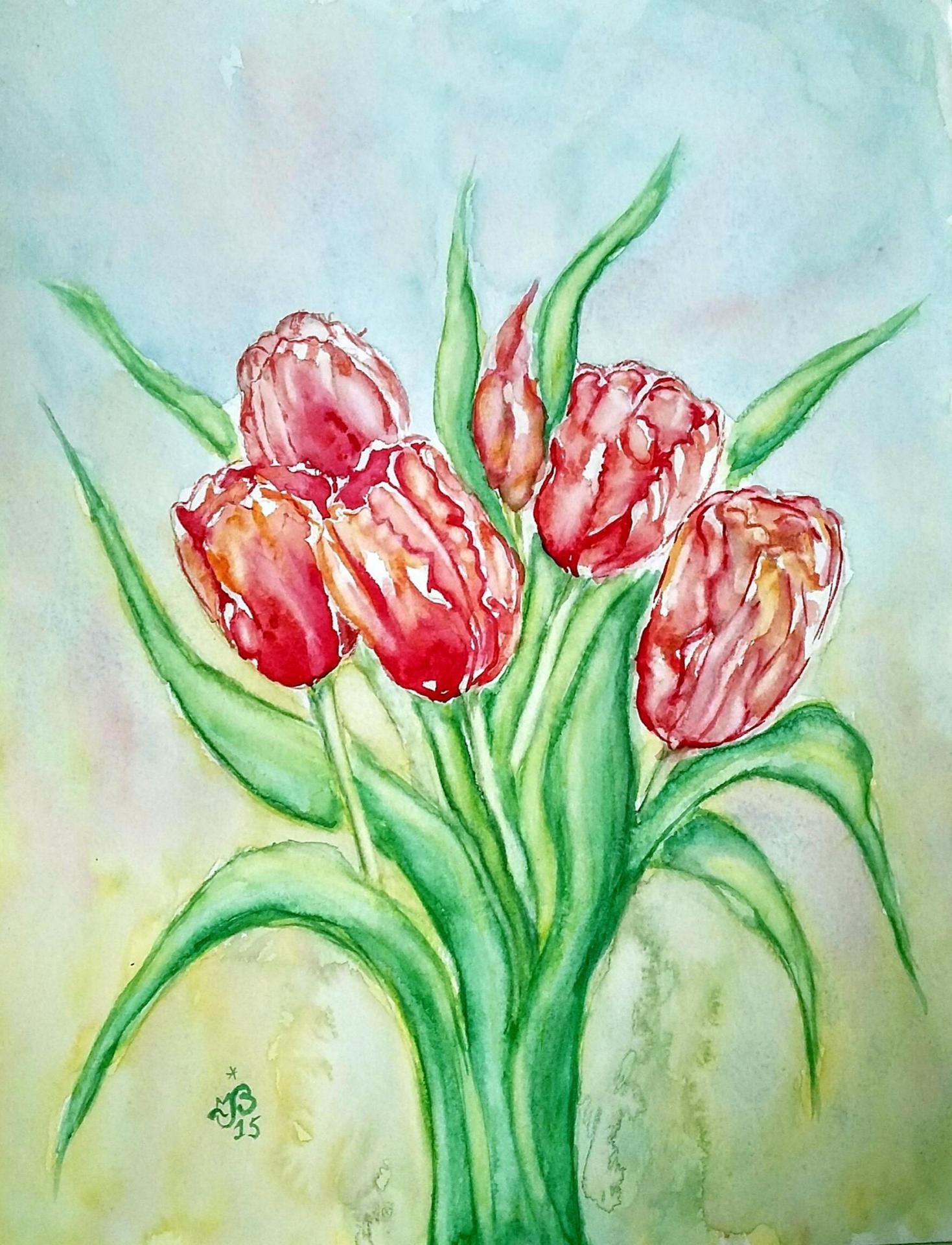 Tulipes