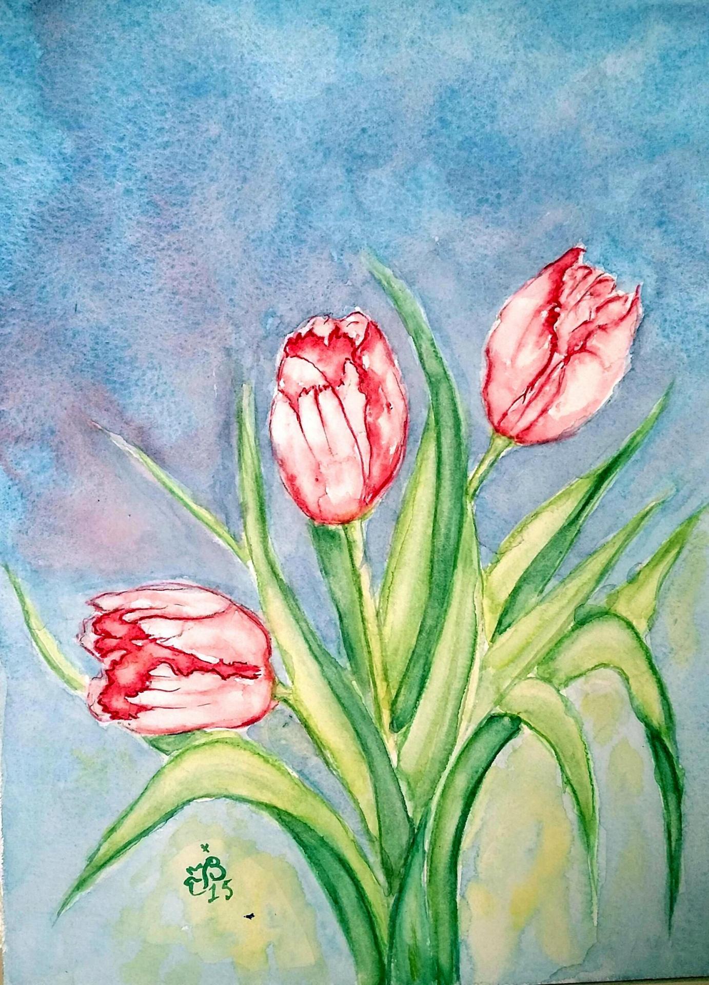 Tulipes rouges