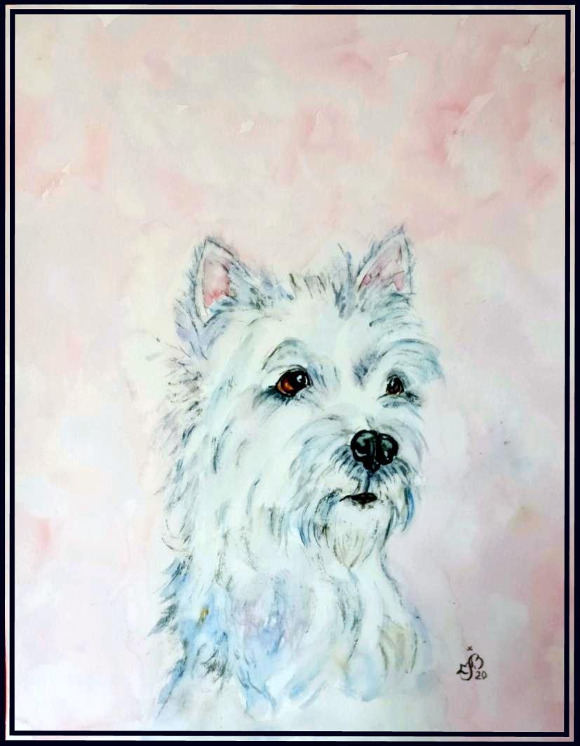 Wistie 1