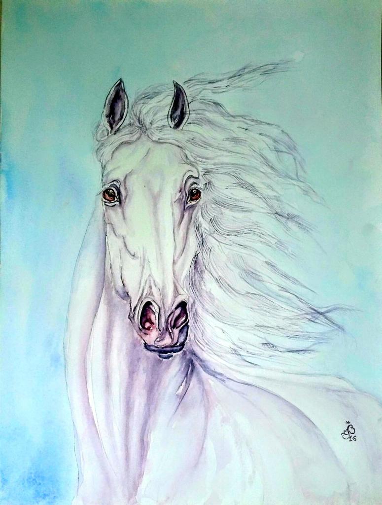 Belles Aquarelles